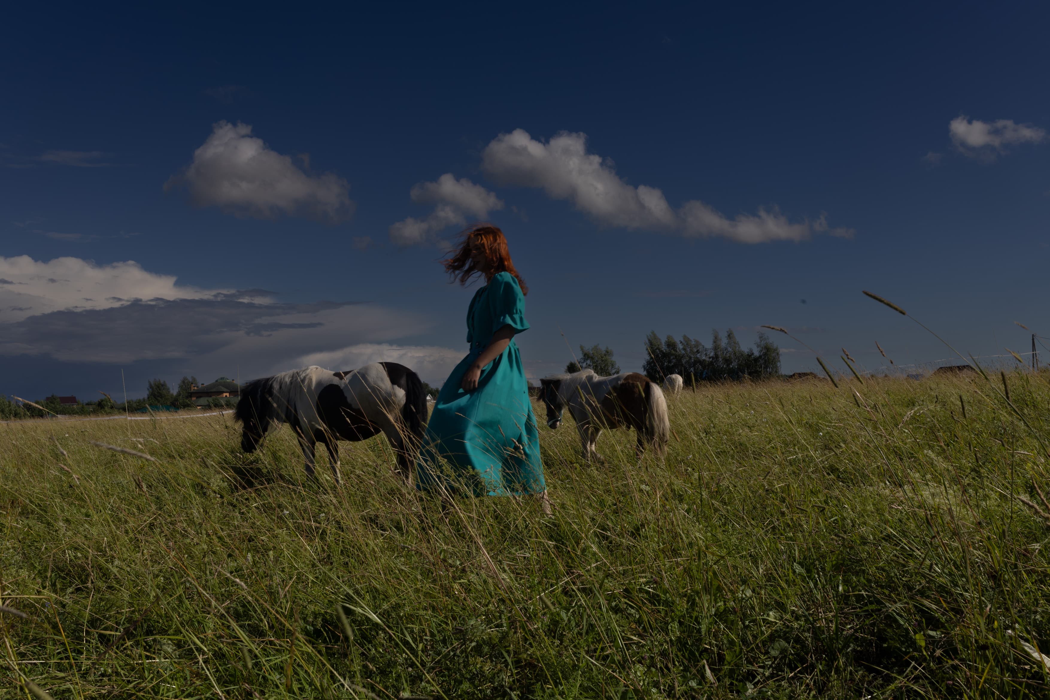 Horses